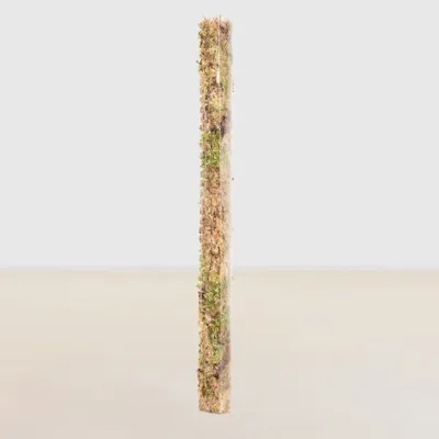 Transparante Klimpaal - M Transparante Klimpaal - M