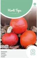 Zaden Pompoenen Oranje Zon Hortitops - Hortitops - thumbnail