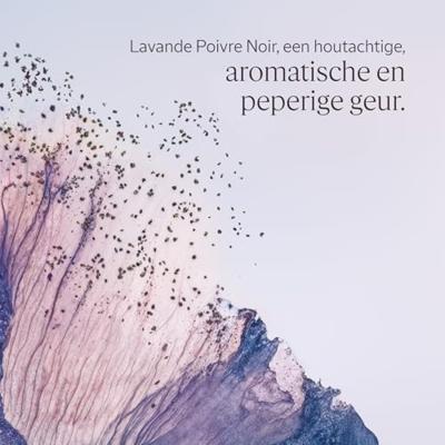 L'Occitane L'Occitan Deo Roll On 50ml