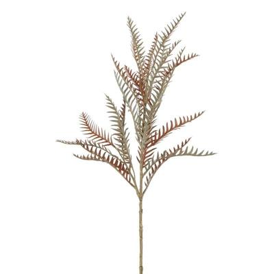 Kunstblad Grevillea