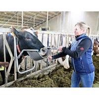 Kopheffer Vink - thumbnail