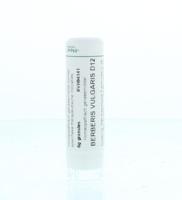 Homeoden Heel Berberis vulgaris D12 6 Gram - thumbnail