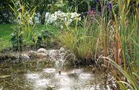 P. solar 150 Pontec - Pontec - thumbnail