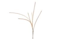 Countryfield kunsttak met 6 pluimen lichtbruin 112 cm | 24 stuks - thumbnail