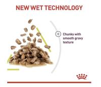 Royal Canin Sensory Smell natvoer kat (in saus) 1 doos (12 x 85 g) - thumbnail