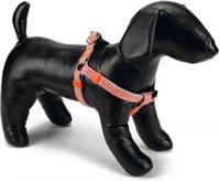 BZ NYL BORSTT TRIANGLE LGRS26-40X10 - thumbnail