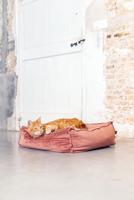 Designed by Lotte Kattenkussen VELVETI roze - thumbnail