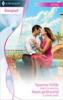 Spaanse liefde ; nooit gedroomd - Rebecca Winters, Susanne James - eBook (9789461701305) - thumbnail