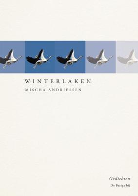 Winterlaken - Mischa Andriessen - ebook