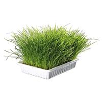 TRIXIE JUNIOR PUPPYTUIG MET RIEM LICHTGRIJS 23-34X0,8 CM / 2 MTR - thumbnail