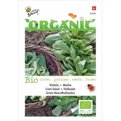 Zaden Organic Veldsla Grote Noordhollandse (BIO) Buzzy - Buzzy