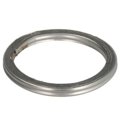 Afdichtring uitlaatpijp 256287