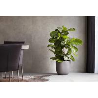 Capi Plantenbak Urban Smooth 43x41 cm donkergrijs - thumbnail