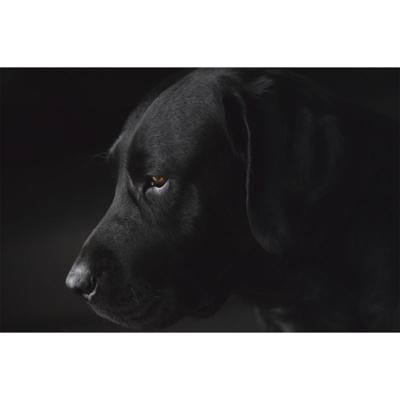 Wanddecoratie Faces 017 148x98cm Wanddecoratie Faces 017 148x98cm