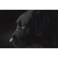 Wanddecoratie Faces 017 148x98cm - thumbnail