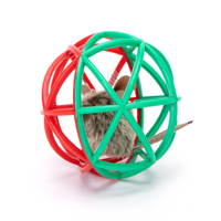 Nobleza Kattenspeelgoed - Open bal met piepende muis - thumbnail