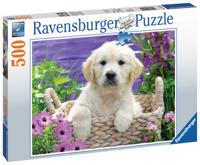 Ravensburger Schattige Golden Retriever - thumbnail