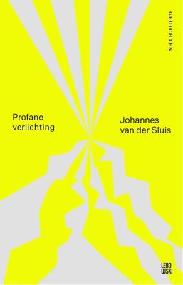 Profane verlichting - Johannes van der Sluis - ebook