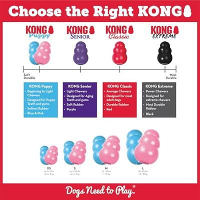 KONG PUPPY ROZE OF BLAUW ASSORTI LARGE 10X7X7 CM KONG PUPPY ROZE OF BLAUW ASSORTI LARGE 10X7X7 CM