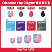 KONG PUPPY ROZE OF BLAUW ASSORTI LARGE 10X7X7 CM - thumbnail