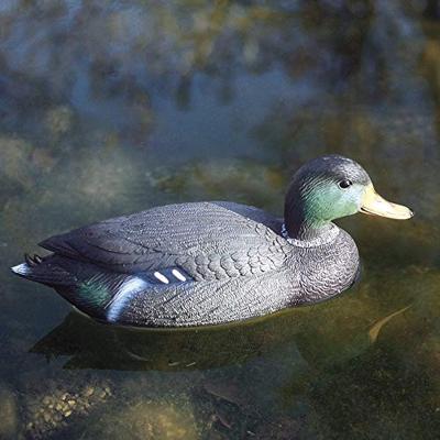 Vijverfiguur Wilde eend mannetje