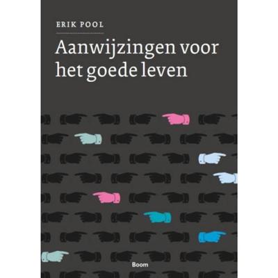 Aanwijzingen voor het goede leven (Paperback)