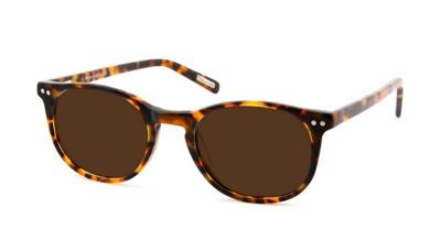 Leeszonnebril Frank and Lucie Eyecon-Havanna FL12500-+3.00