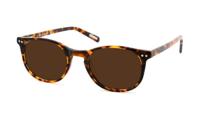 Leeszonnebril Frank and Lucie Eyecon-Havanna FL12500-+3.00 - thumbnail