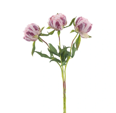 Paeony Marlie bundle a 3 pcs pink 63 cm kunstbloem Erutan Avon - Erutan avon Paeony Marlie bundle a 3 pcs pink 63 cm kunstbloem Erutan Avon - Erutan avon