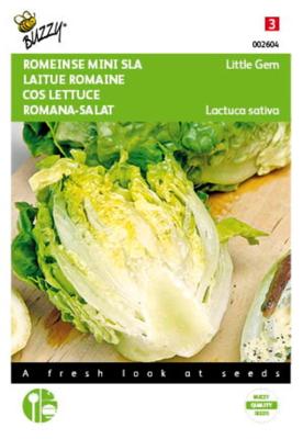 Romeinse Mini Sla Little Gem Romeinse Mini Sla Little Gem