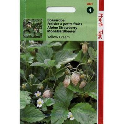 Zaden Bosaardbei - Yellow Cream Hortitops - Hortitops