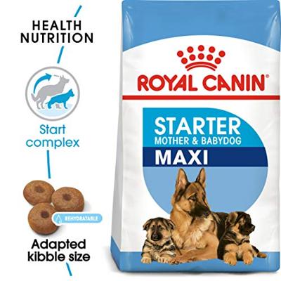 Royal Canin Maxi Starter Mother and Babydog 15 kg - thumbnail