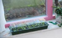 Nature vensterbank kweekset 49x15,5x10 - thumbnail