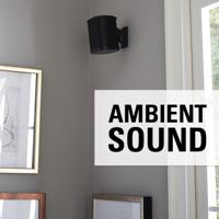 Sanus - Universal Sonos One Play:1 Wall Mount - thumbnail