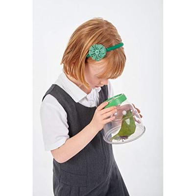 Edu Science Grote Insecten Viewer