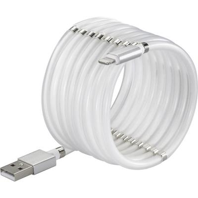 Renkforce TO-6897012 USB-kabel USB 2.0 USB-A stekker, Apple Lightning stekker 1.00 m Wit