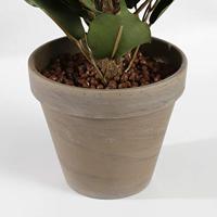 Mica Decorations Ficus Exotica Kunstplant in Bloempot 60 cm - thumbnail