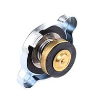 Radiateurdop RC124 - thumbnail