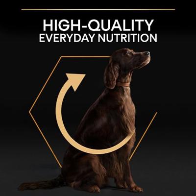Pro Plan plan dog adult large breed athletic - thumbnail