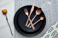 Buccan - Bestekset - Florence - 24 delig - Rosegoud - thumbnail