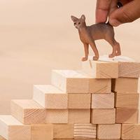 Schleich abessijnse kat 13964 - thumbnail