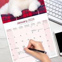 Samojeed Kalender 2026 - thumbnail