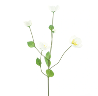 Melastoma spray cream 76 cm kunstbloem Erutan Avon - Erutan avon - thumbnail