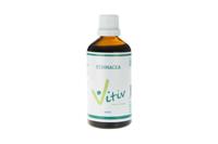 Echinacea 100 Milliliter - thumbnail