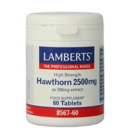 Crataegus 2500mg (hawthorn) 60 Tabletten - thumbnail