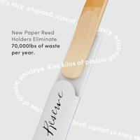 D&apos;Addario Woodwinds ODBR0325 Organic Reserve Eb Klarinetrieten, 2.5, 3-pack - thumbnail