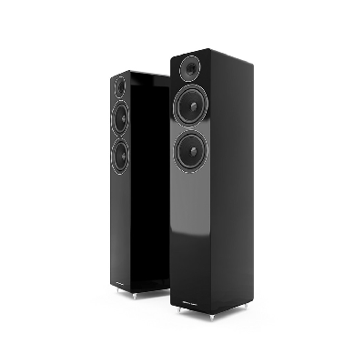 Acoustic Energy: AE309 vloerstaande luidspreker (2 stuks) - Zwart