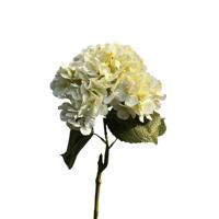 Roberts Collection Hortensia real touch 75cm creme - thumbnail