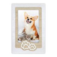 Zep ZX3546 Zampa 10x15 cm - thumbnail