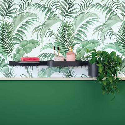 Hansgrohe Wandelement WallStoris 50 cm Mat Zwart